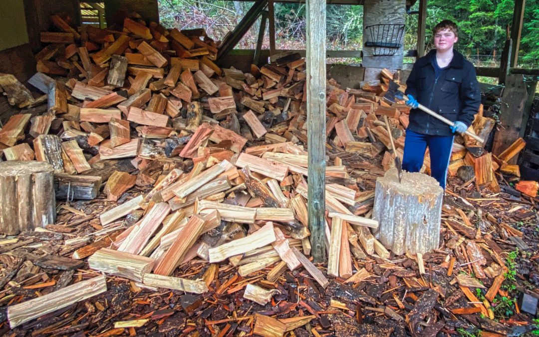 Firewood Therapy - Heating with a wood stove is a big commitment and it helps with exercise. Having a grandson to talk with while you work is an added bonus.