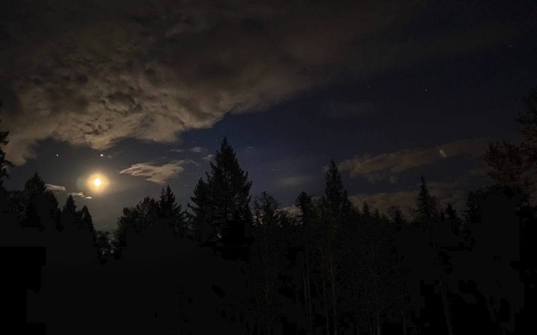 Sky Show - Saturn, Jupiter, and the moon about an hour before sunrise. Love this time of year.