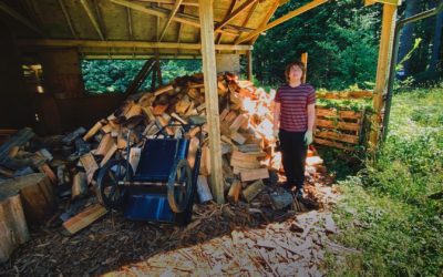 Firewood In