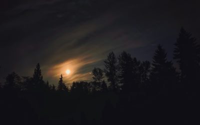 Sky Show