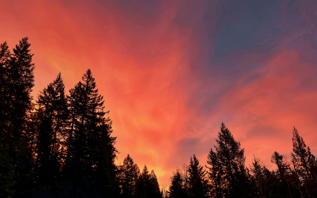 Red Sky In Morning - Very colorful sunrise today. Looks like rain, maybe some wind, returns tomorrow.