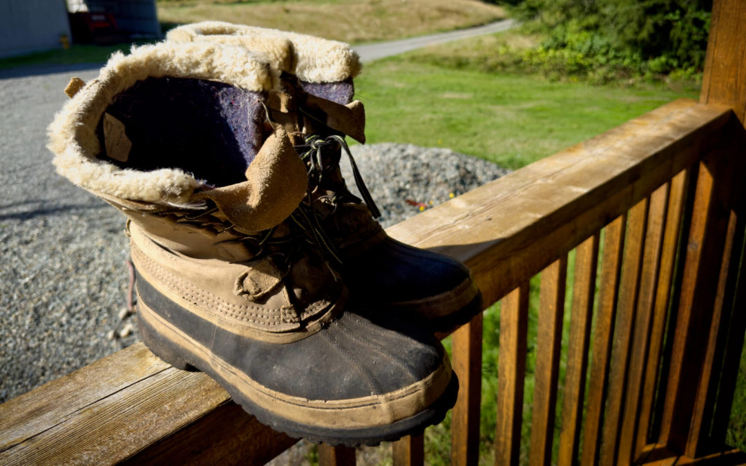 Amazing Value - In January of 1988 I got these boots as part of our coverage of the Winter Olympics in Calgary. Never needed them up there. But over those 35+ years they got used and abused here on The Orchard Compound. Snow, mud, manure, etc. They finally fell apart last winter but they still worked even though they were full of holes. Today cheap replacements arrived from Amazon and these were retired. If you're looking for good boots I highly recommend Sorel.