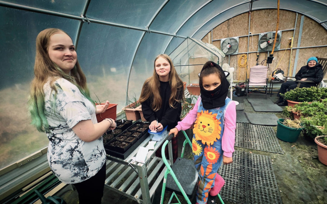 Growing Begins - Today is Presidents' Day, the traditional start of the grow season here on The Orchard Compound. We planted more onions, peas, spinach, cukes, carrots and more. Can't wait for spring.