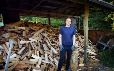 Firewood In The Shed